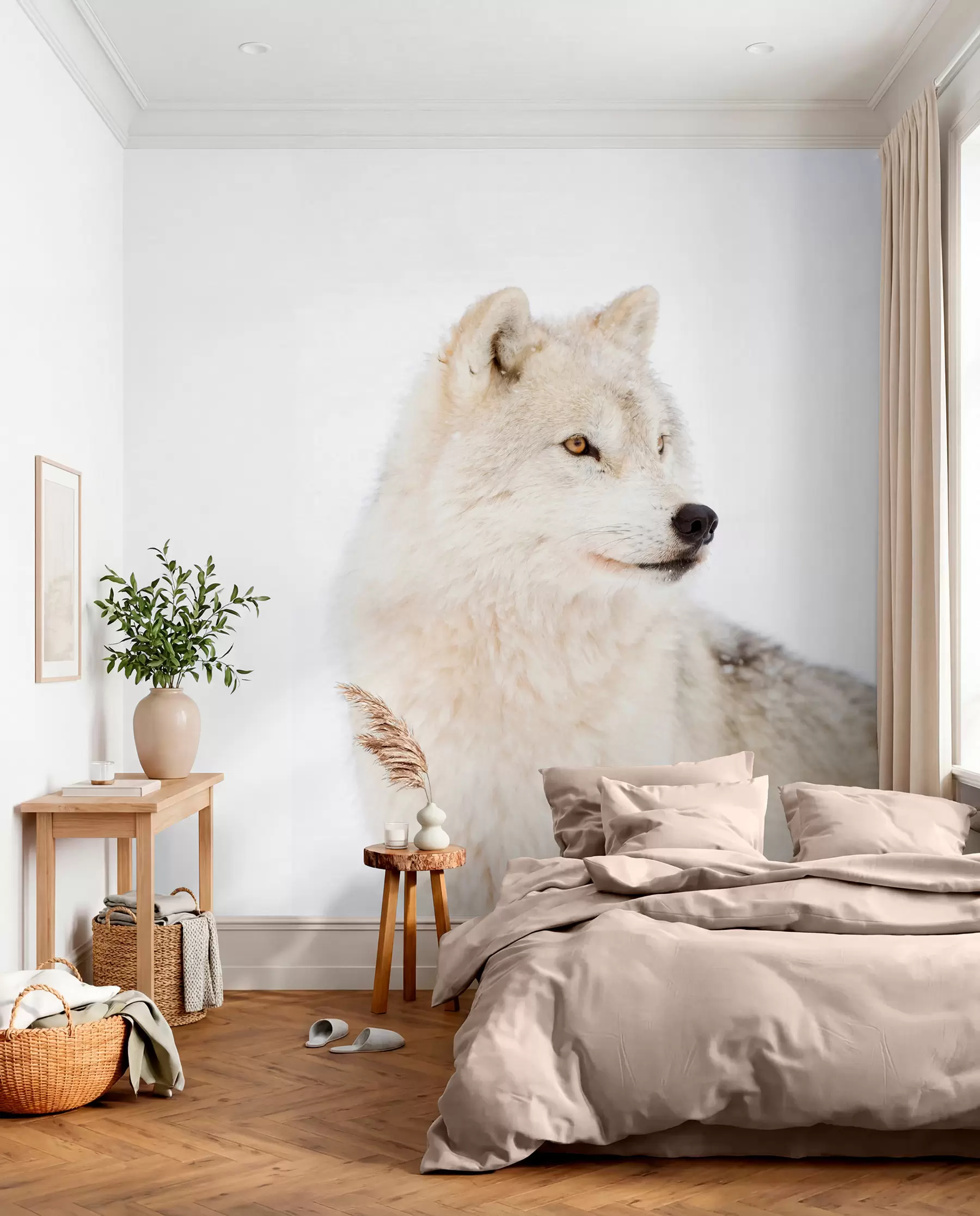 Fototapeedid Valge hundi portree u98189