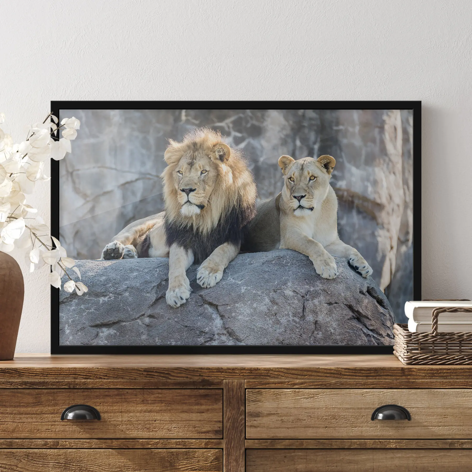 Pilt Rahulikult koos puhkavad majesteetlikud lõvid f15278