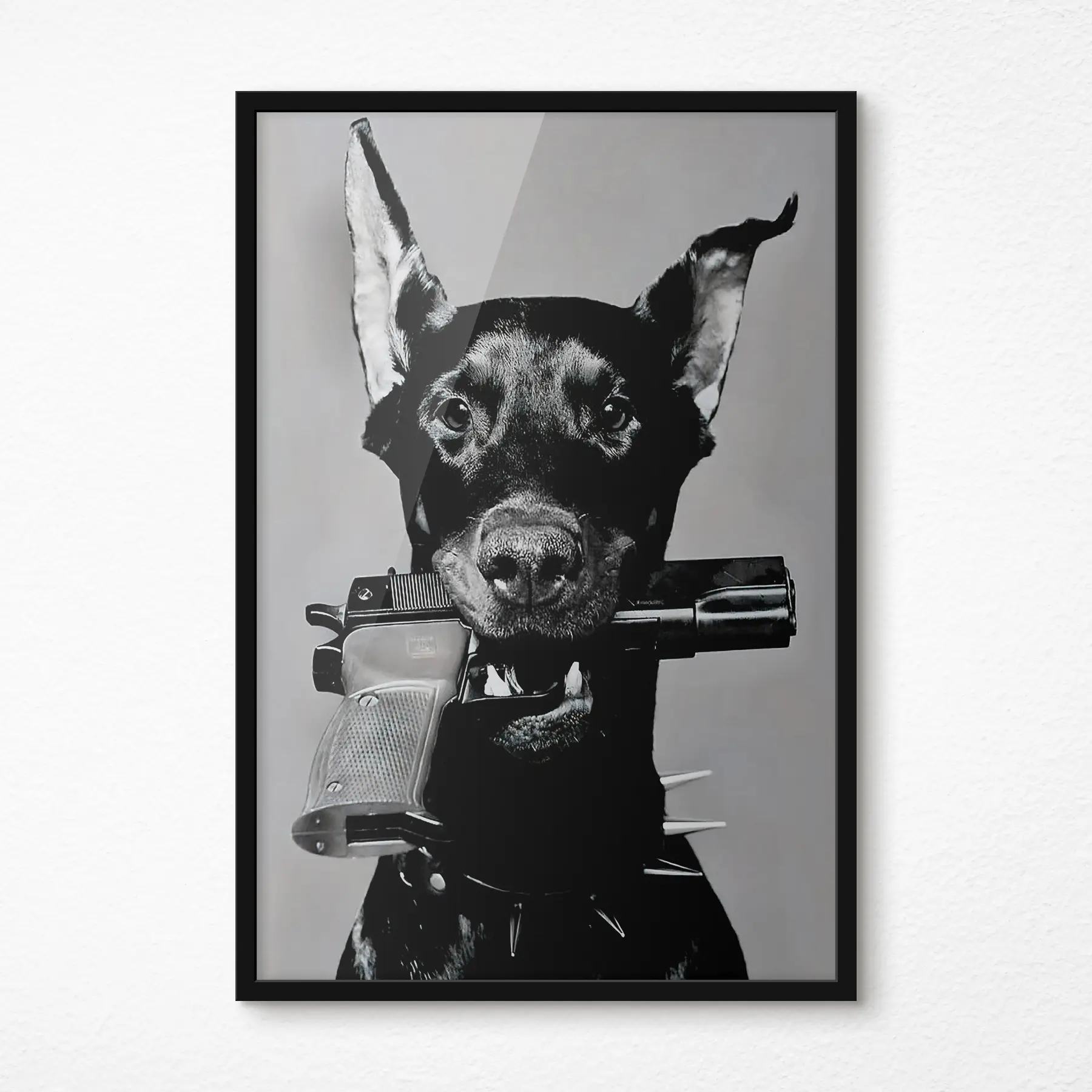 Pilt Valve koer valmis tegutsema f36177