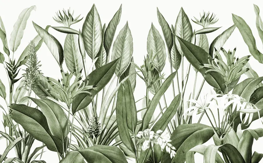 Fototapeedid Troopilised taimed džungliroheline värvus u96833v2