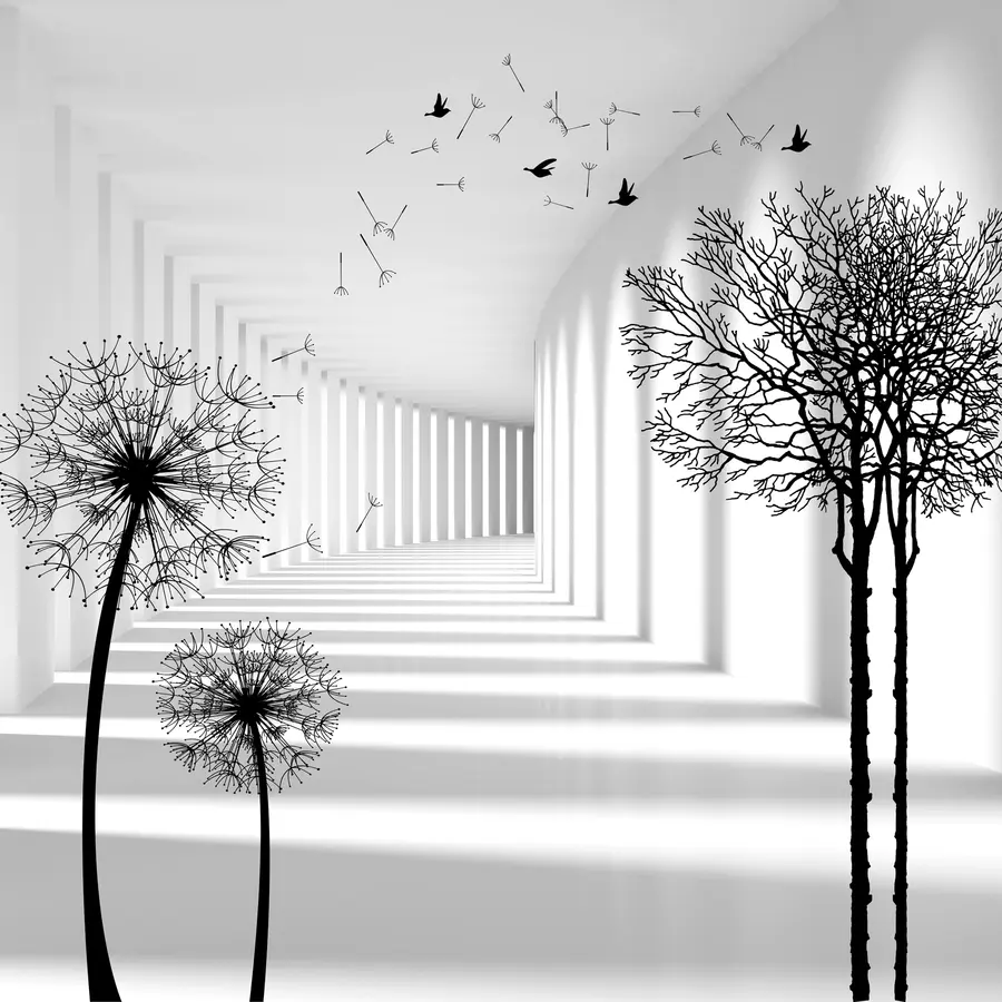 Fototapeedid Sügavus ja valgus u37803d1