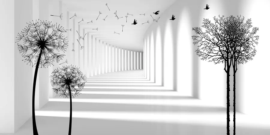 Fototapeedid Sügavus ja valgus u37803d2