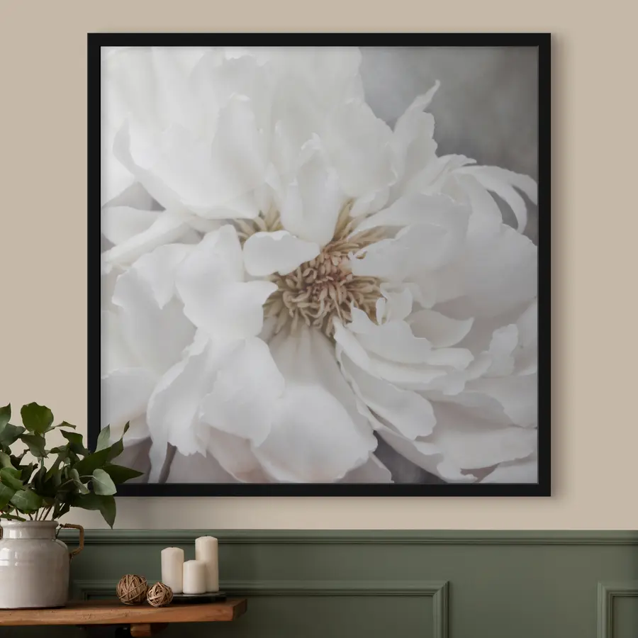 Fototapeedid Õrn ilu pehmetes toonides f37161